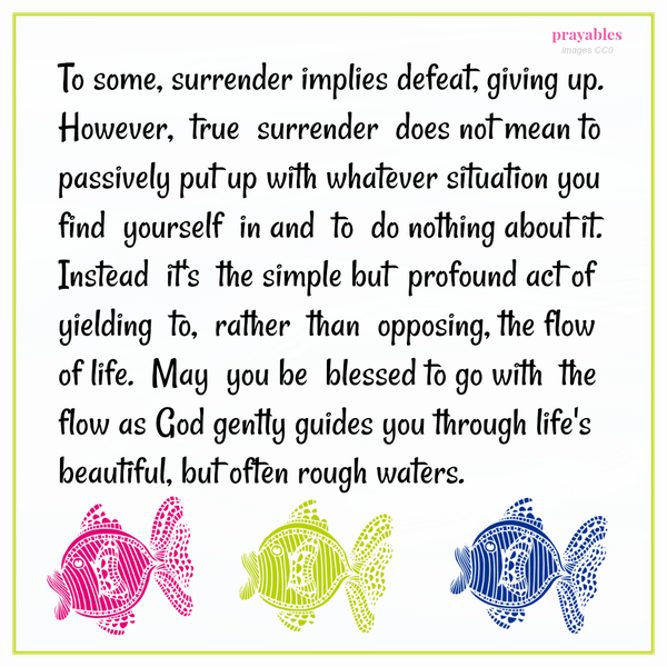 To some, surrender implies defeat, giving up. However, true surrender does not mean to passively put up with whatever situation you find yourself in and to do nothing about it. Instead it’s the simple but profound act of yielding to,
rather than opposing, the flow of life. May you be blessed to go with the flow as God gently guides you through life’s beautiful, but often rough waters.