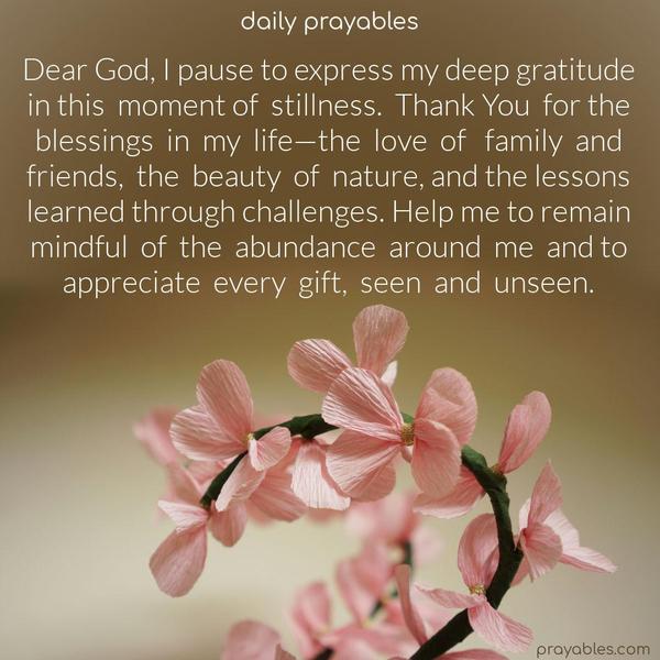 Dear God, I pause to express my deep gratitude in this moment of stillness. Thank You for the blessings in my life—the love of family and friends, the beauty of nature, and the lessons learned through challenges. Help me to remain mindful of the abundance around me and to appreciate every gift, seen and unseen.