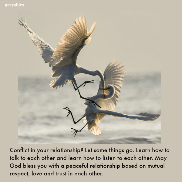 Conflict in your relationship? Let some things go. Learn how to talk to each other and learn how to listen to each other. May God bless you with a peaceful relationship based on mutual respect, love and trust in each other.