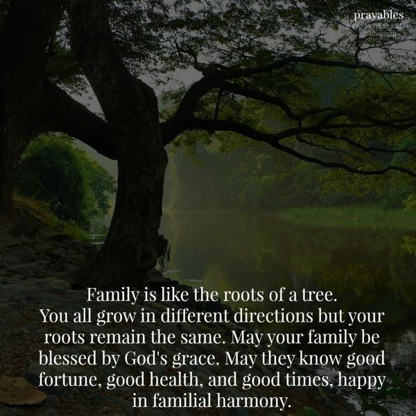 Family is like the roots of a tree. You all grow in different directions but your roots remain the same. May your family be blessed by God’s grace. May they know good fortune, good health, and good times, happy in familial harmony.