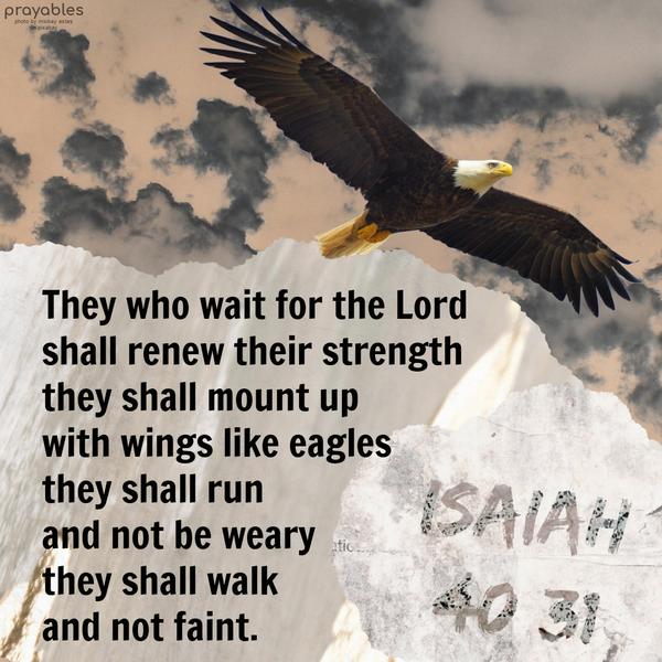 Isaiah 40:31 They who wait for the Lord shall renew their strength they shall mount up with wings like eagles, they shall run and not be weary, they shall walk and not faint.