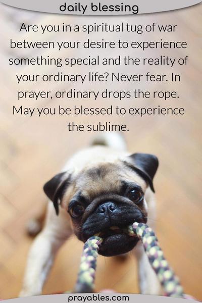 Are you in a spiritual tug of war between your desire to experience something special and the reality of your ordinary life? Never fear. In prayer, ordinary drops the rope.
May you be blessed to experience the sublime.