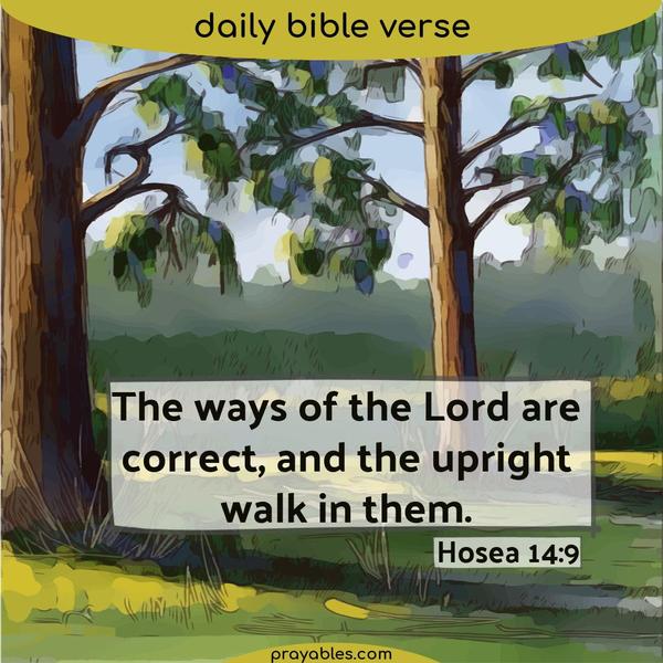 Hosea 14:9 For the ways of the Lord are correct, and the upright walk in them.