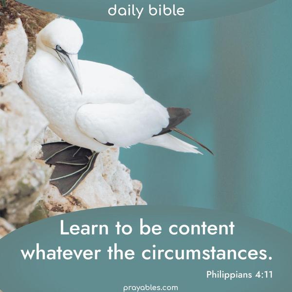 Philippians 4:11 Learn to be content whatever the circumstances.