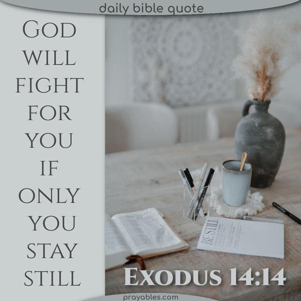 Exodus 14:14 God will fight for you if only you stay still.