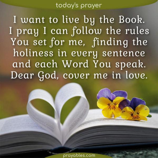 I want to live by the Book. I pray I can follow the rules You set for me, finding the holiness in every sentence and each Word You speak. Dear
God, cover me in love. 