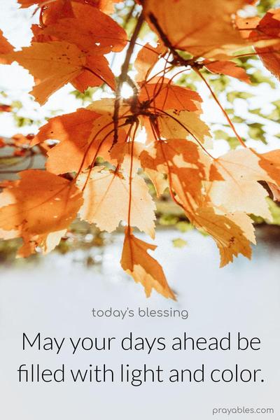 May your days ahead be filled with light and color.