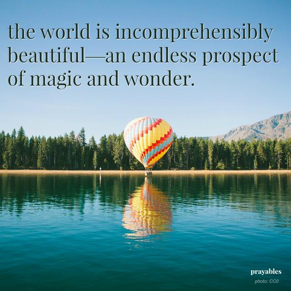 the world is beautiful