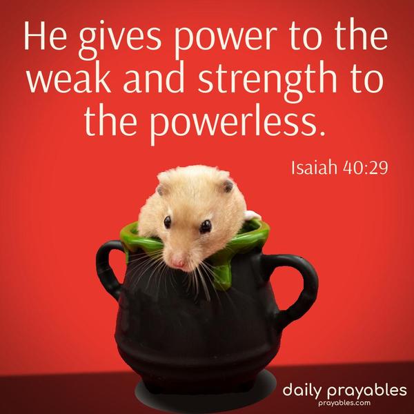 He gives power to the weak and strength to the powerless. Isaiah 40:29