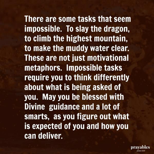 There are some tasks that seem impossible. To slay the dragon, to climb the highest mountain, to make the muddy water clear. These are not just motivational metaphors. Impossible tasks require you to think differently about what is
being asked of you. May you be blessed with Divine guidance and a lot of smarts, as you figure out what is expected of you and how you can deliver.