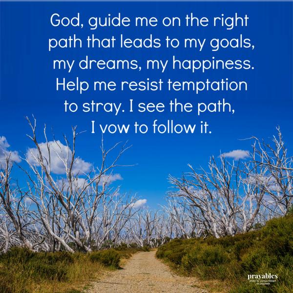 God, guide me on the right path that leads to my goals, my dreams, my happiness. Help me resist temptation to stray. I see the path, I vow to follow it.