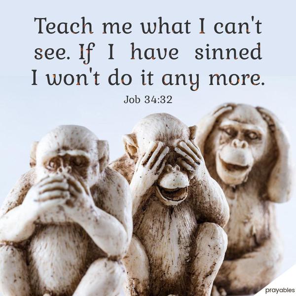 Job 34:32 Teach me what I cannot see. If I have sinned, I will do it no more.