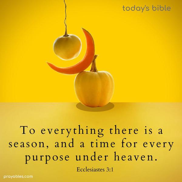 To everything there is a season, and a time for every purpose under heaven. Ecclesiastes 3:1