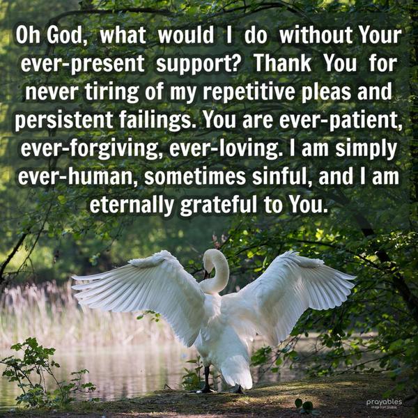 Oh God, what would I do without Your ever-present support? Thank You for never tiring of my repetitive pleas and persistent failings. You are ever-patient, ever-forgiving, ever-loving. I
am simply ever-human, ever-sinful, and ever-grateful to You.