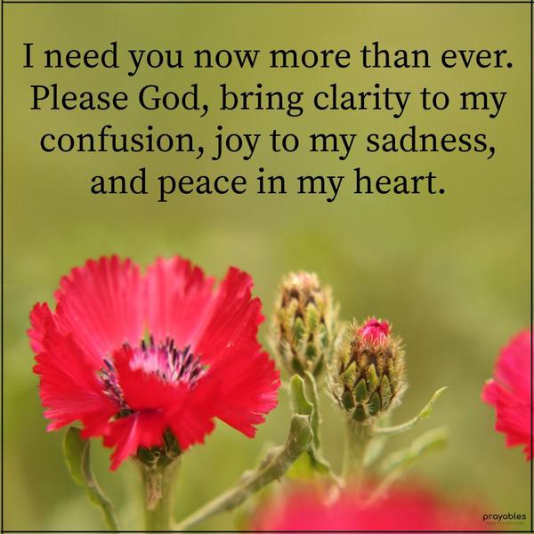 God, I need you now more than ever. Bring clarity to my confusion, joy to my sadness, and peace in my heart. Amen