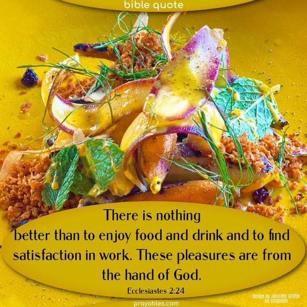 There is nothing better than to enjoy food and drink and to find satisfaction in work. These pleasures are from the hand of God. Ecclesiastes 2:24