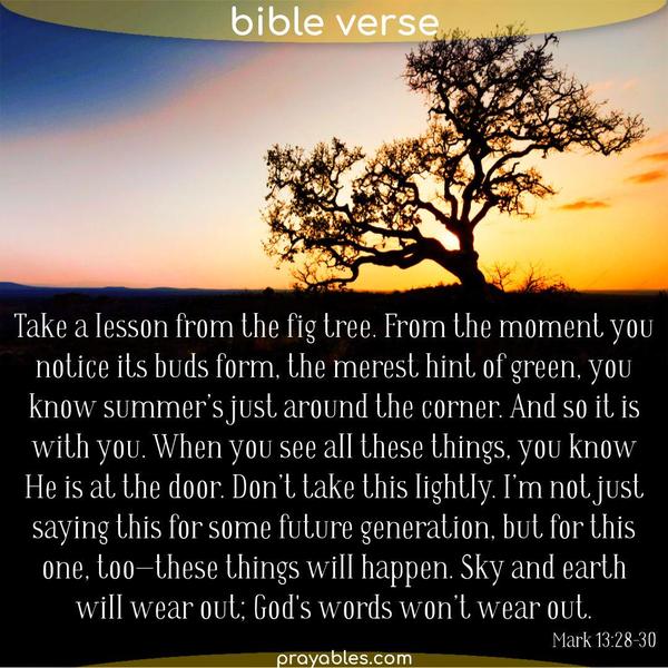 Mark 13:28-30 Take a lesson from the fig tree. From the moment you notice its buds form, the merest hint of green, you know summer’s just
around the corner. And so it is with you. When you see all these things, you know He is at the door. Don’t take this lightly. I’m not just saying this for some future generation, but for this one, too—these things will happen. Sky and earth will wear out; God's words won’t wear out.