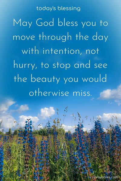May God bless you to move through the day with intention, not to hurry, to stop and see the beauty you would otherwise miss.