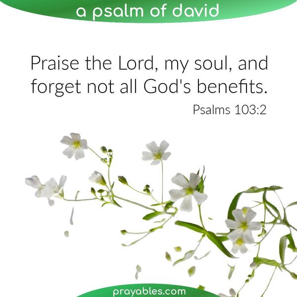 Psalms 103:2 Praise the Lord, my soul, and forget not all God's benefits.