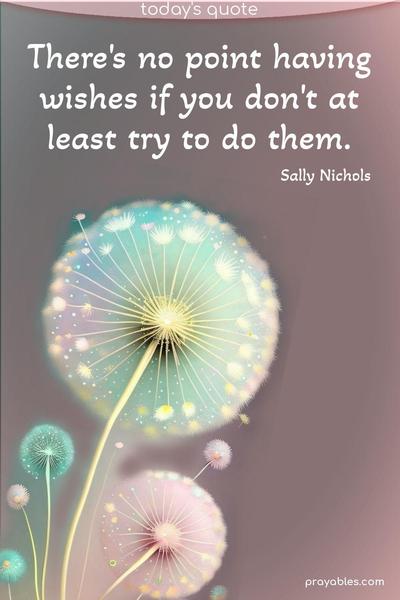 There's no point having wishes if you don't at least try to do them. Sally Nichols