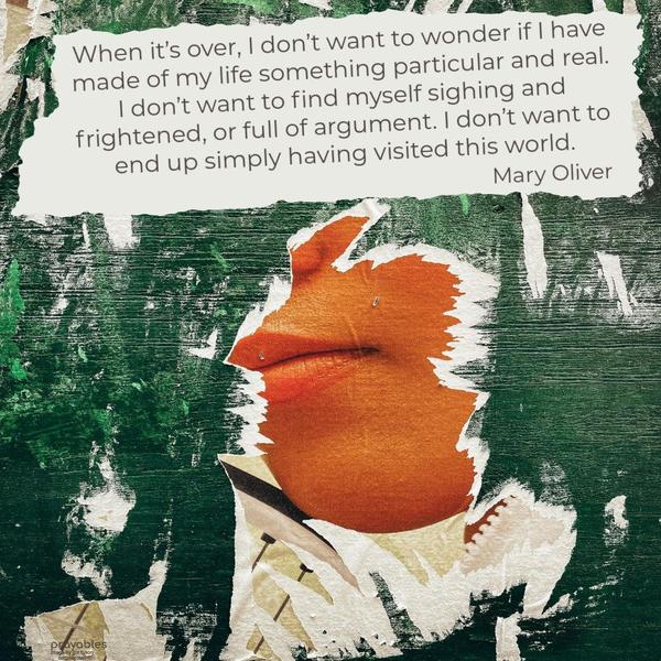 When it’s over, I don’t want to wonder if I have made of my life something particular and real. I don’t want to find myself sighing and frightened, or full of argument. I don’t want to end
up simply having visited this world. Mary Oliver