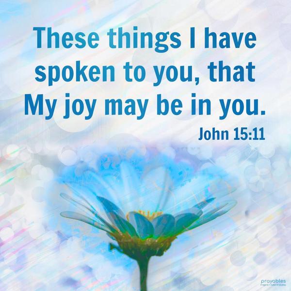 John 15:11 These things I have spoken to you; that My joy may be in you.