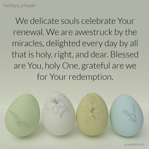We delicate souls celebrate Your renewal. We are awestruck by the miracles, delighted every day by all that is holy, right, and dear. Blessed are You, holy One, grateful are we for Your redemption.