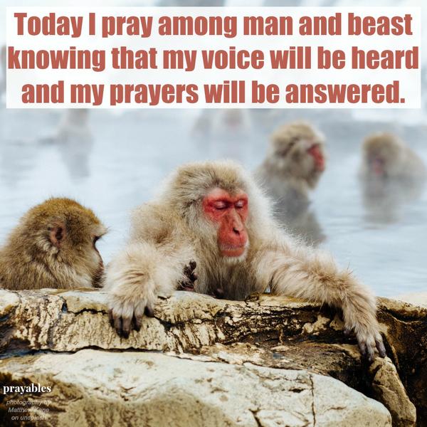 my prayers will be answered