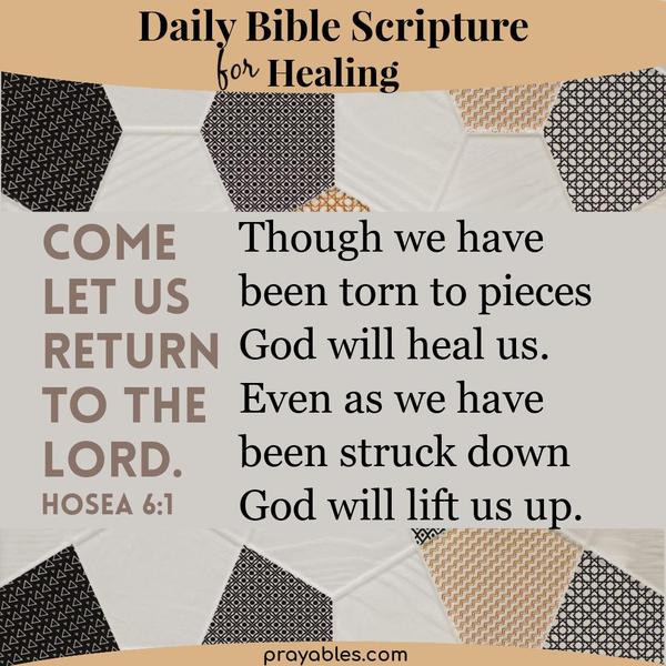 Hosea 6:1 Come, let us return to the Lord, Though we have been torn to pieces, God will heal us. Even as we have been struck down, God will
lift us up.