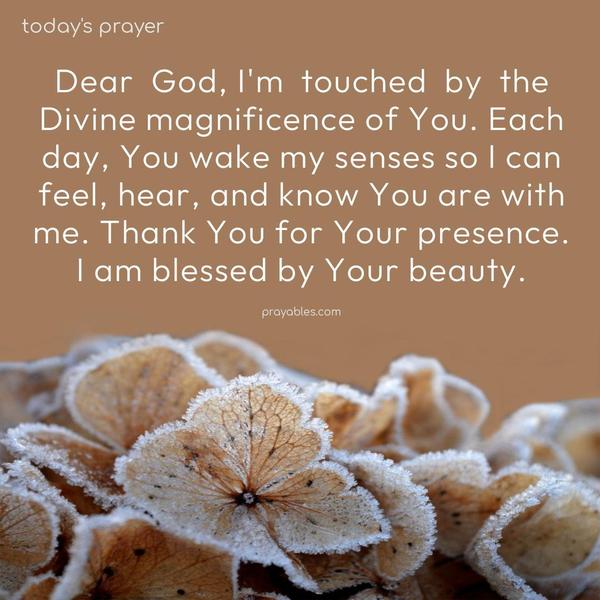 Dear God, I'm touched by the Divine magnificence of You. Each day, You wake my senses so I can feel, hear, and know You are with me. Thank You for Your presence. I am blessed by Your beauty.