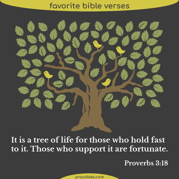 Proverbs 3:18 It is a tree of life for those who hold fast to it. Those who support it are fortunate.