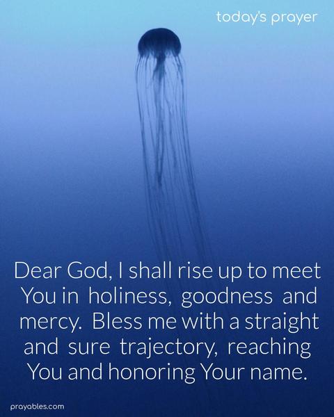 Dear God, I shall rise up to meet You in holiness, goodness, and mercy. Bless me with a straight and sure trajectory, reaching You always and honoring Your name.