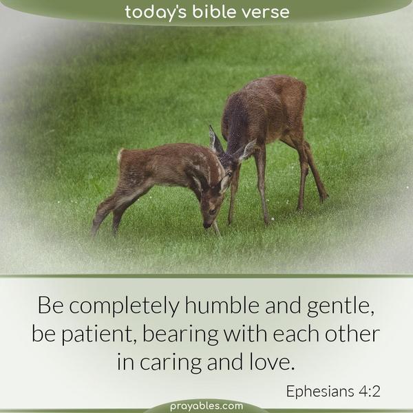 Ephesians 4:2 Be completely humble and gentle, be patient, bearing with each other in caring and love.