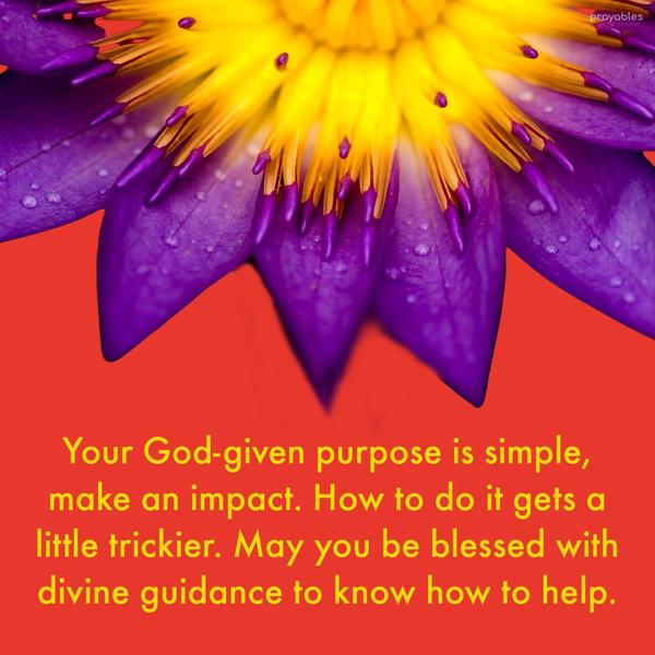 Your God-given purpose is simple, make an impact. How to do it gets a little trickier. May you be blessed with divine guidance to know how to help.