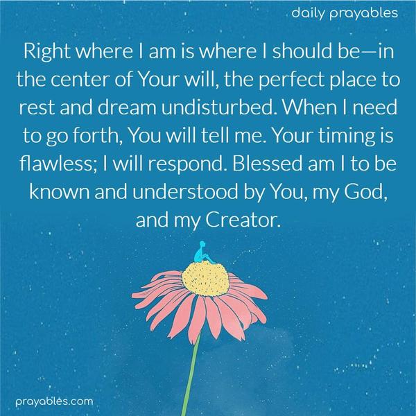 Right where I am is where I should be—in the center of Your will, the perfect place to rest and dream undisturbed. When I need to go forth, You will tell me. Your timing is flawless; I will respond. Blessed am I to be known and understood by You, my God, my Creator.