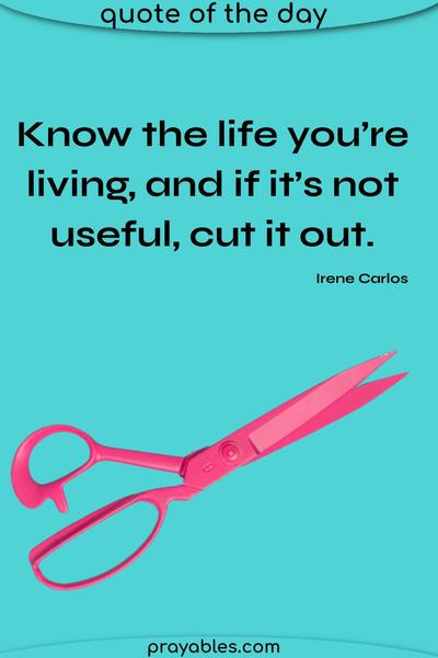 Know the life you’re living, and if it’s not useful, cut it out. Irene Carlos
