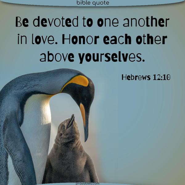 Hebrews 12:10 Be devoted to one another in love. Honor one another above yourselves.