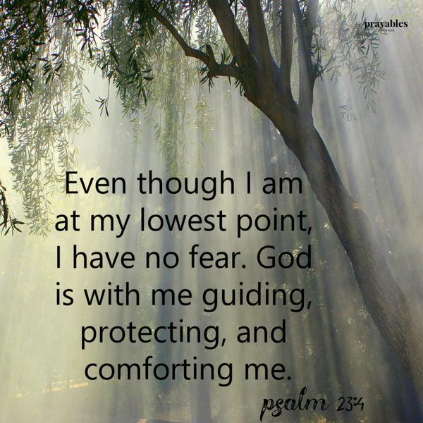 Psalm 23:4 Even though I am at my lowest point, I have no fear. God is with me guiding, protecting, and comforting me.