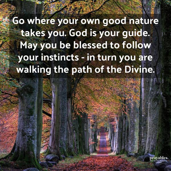 Go where your own good nature takes you. God is your guide. May you be blessed to follow your instincts – in turn you are walking the path of the Divine.