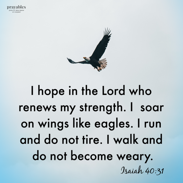 Isaiah 40:31  I hope in the Lord who renews my strength. I soar like wings on eagles. I run and do not tire. I walk and do not become weary.