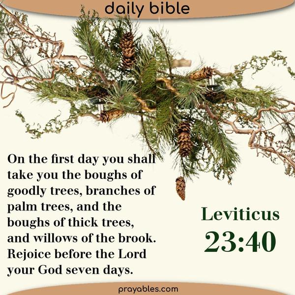 Leviticus 23:40 On the first day, you shall take the boughs of goodly trees, branches of palm trees, and the boughs of thick trees, and
willows of the brook. Rejoice before the Lord your God for seven days.