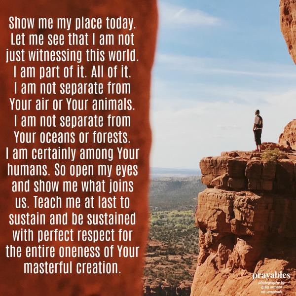 Show me my place today. Let me see that I am not just witnessing this world. I am part of it. All of it. I am not separate from Your air or Your animals. I am not separate from Your oceans or forests. I am certainly not separate
from Your humans. So open my eyes and show me the cogs that join us. Let me witness my own rotation as a cause of spinning gears. Teach me at last to sustain and be sustained with perfect respect for the machine of Your masterful creation.