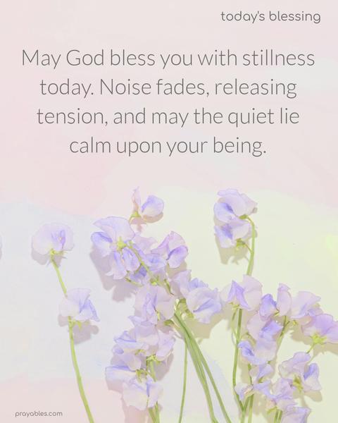 Stillness and Calm May God bless you with stillness today. Noise fades, releasing tension, and may the quiet lie calm upon your being.