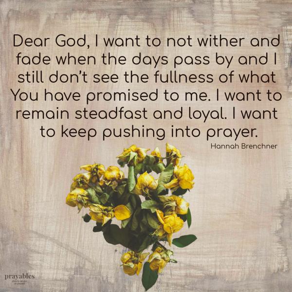 Dear God, I want to not wither and fade when the days pass by and I still don’t see the fullness of what You have promised to me. I want to remain steadfast and loyal. I want
to keep pushing into prayer. Hannah Brenchner