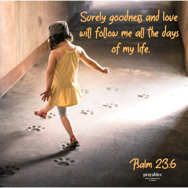 Psalm 23:6  Surely goodness and love will follow me all the days of my life.