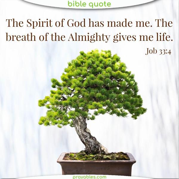 Job 33:4 The Spirit of God has made me. The breath of the Almighty gives me life.