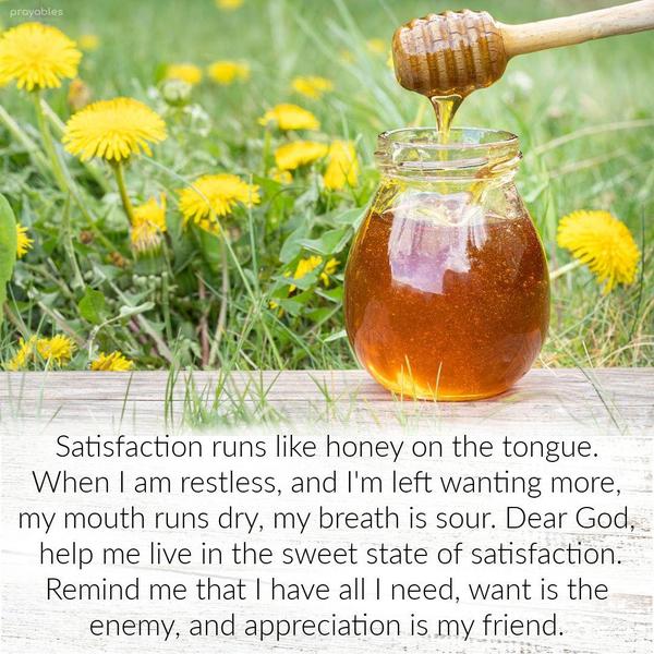 Satisfaction runs like honey on the tongue. When I am restless, and I'm left wanting more, my mouth runs dry, my breath is sour. Dear God, help me live in
the sweet state of satisfaction. Remind me that I have all I need, want is the enemy, and appreciation is my friend. 