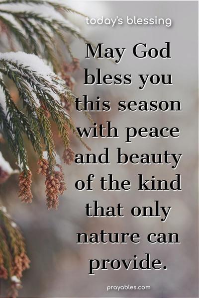 May God bless you this season with peace and beauty of the kind that only nature can provide.