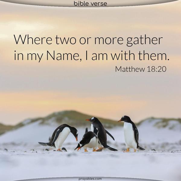 Matthew 18:20 Where two or more gather in my Name, I am with them.