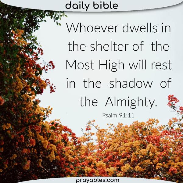 Psalm 91:11 Whoever dwells in the shelter of the Most High will rest in the shadow of the Almighty.